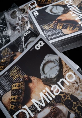 D1 image 6